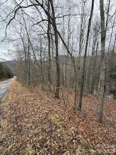 0000 Silverglen Way Hendersonville NC 28792