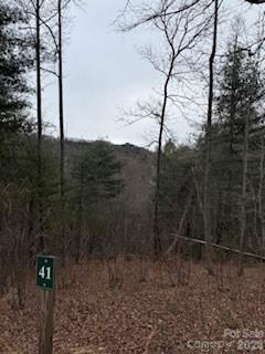 0000 Silverglen Way Hendersonville NC 28792
