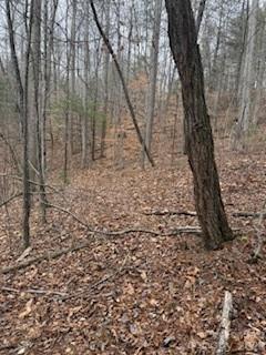 0000 Silverglen Way Hendersonville NC 28792