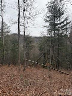 0000 Silverglen Way Hendersonville NC 28792