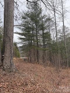 0000 Silverglen Way Hendersonville NC 28792