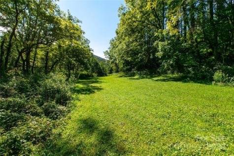 00000 Scout Trail Canton NC 28716