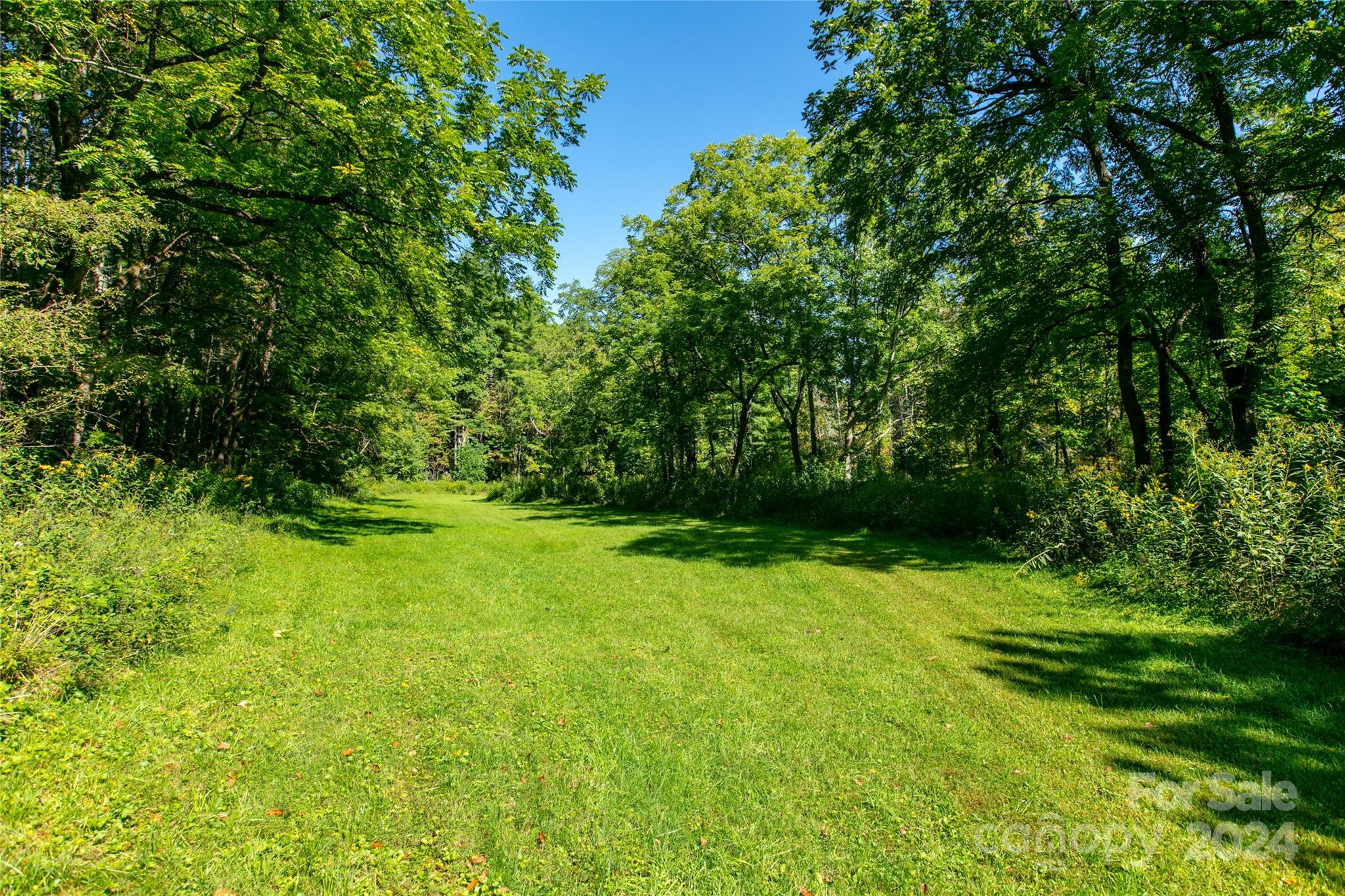 00000 Scout Trail Canton NC 28716