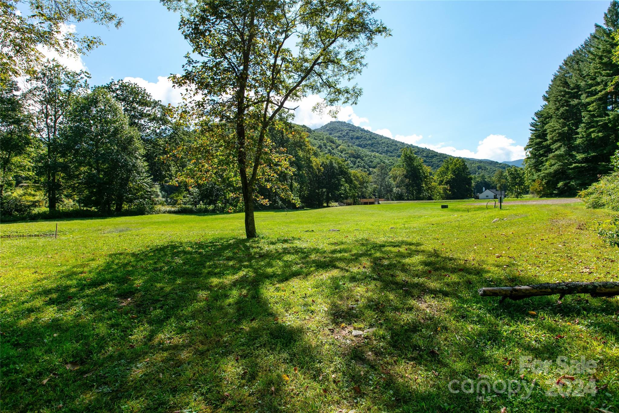 00000 Scout Trail Canton NC 28716