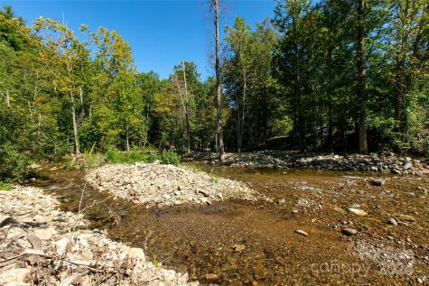 00000 Scout Trail Canton NC 28716