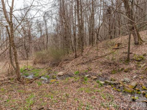 000 Sigogglin Road Waynesville NC 28786