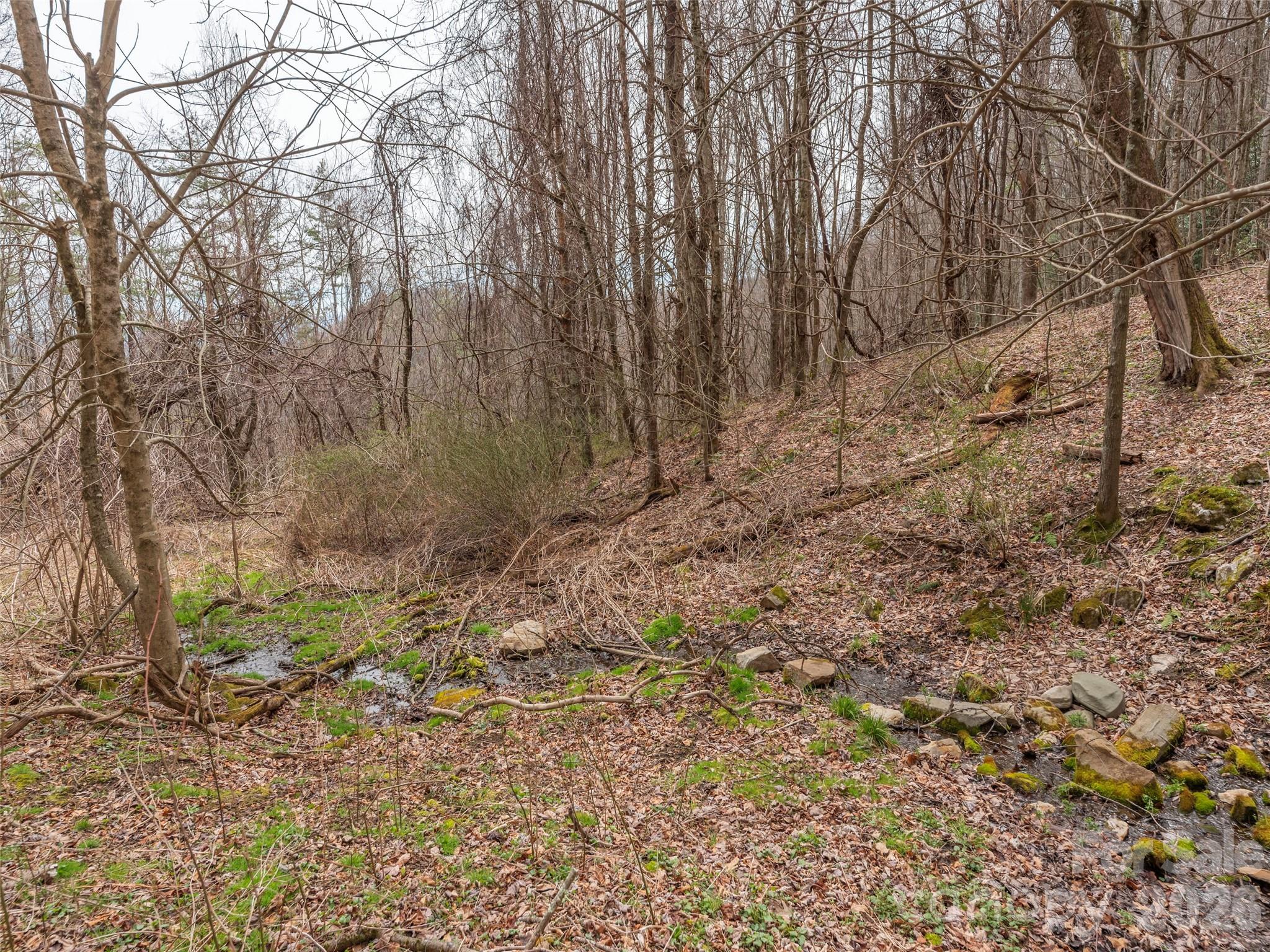 000 Sigogglin Road Waynesville NC 28786