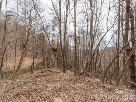 000 Sigogglin Road Waynesville NC 28786