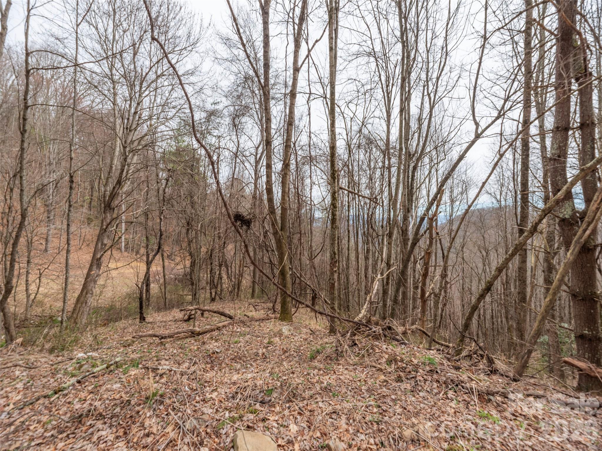 000 Sigogglin Road Waynesville NC 28786