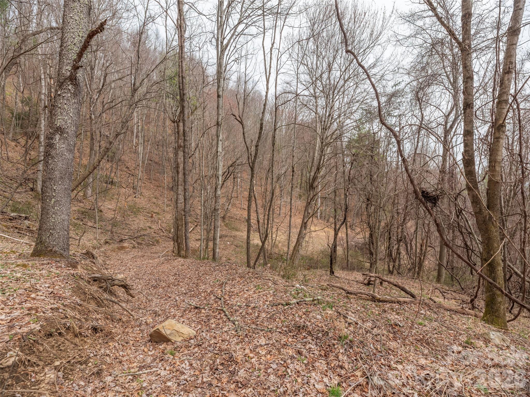 000 Sigogglin Road Waynesville NC 28786
