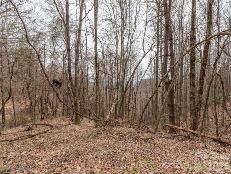 000 Sigogglin Road Waynesville NC 28786