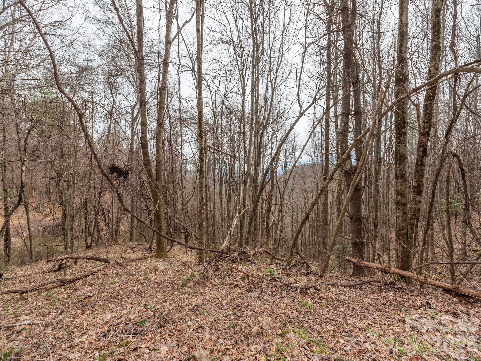 000 Sigogglin Road Waynesville NC 28786