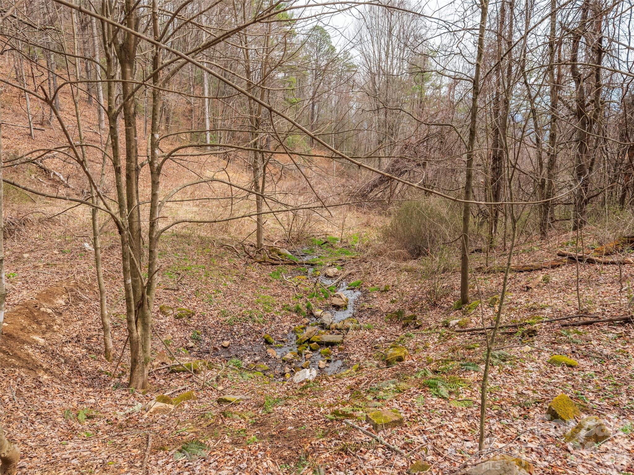 000 Sigogglin Road Waynesville NC 28786