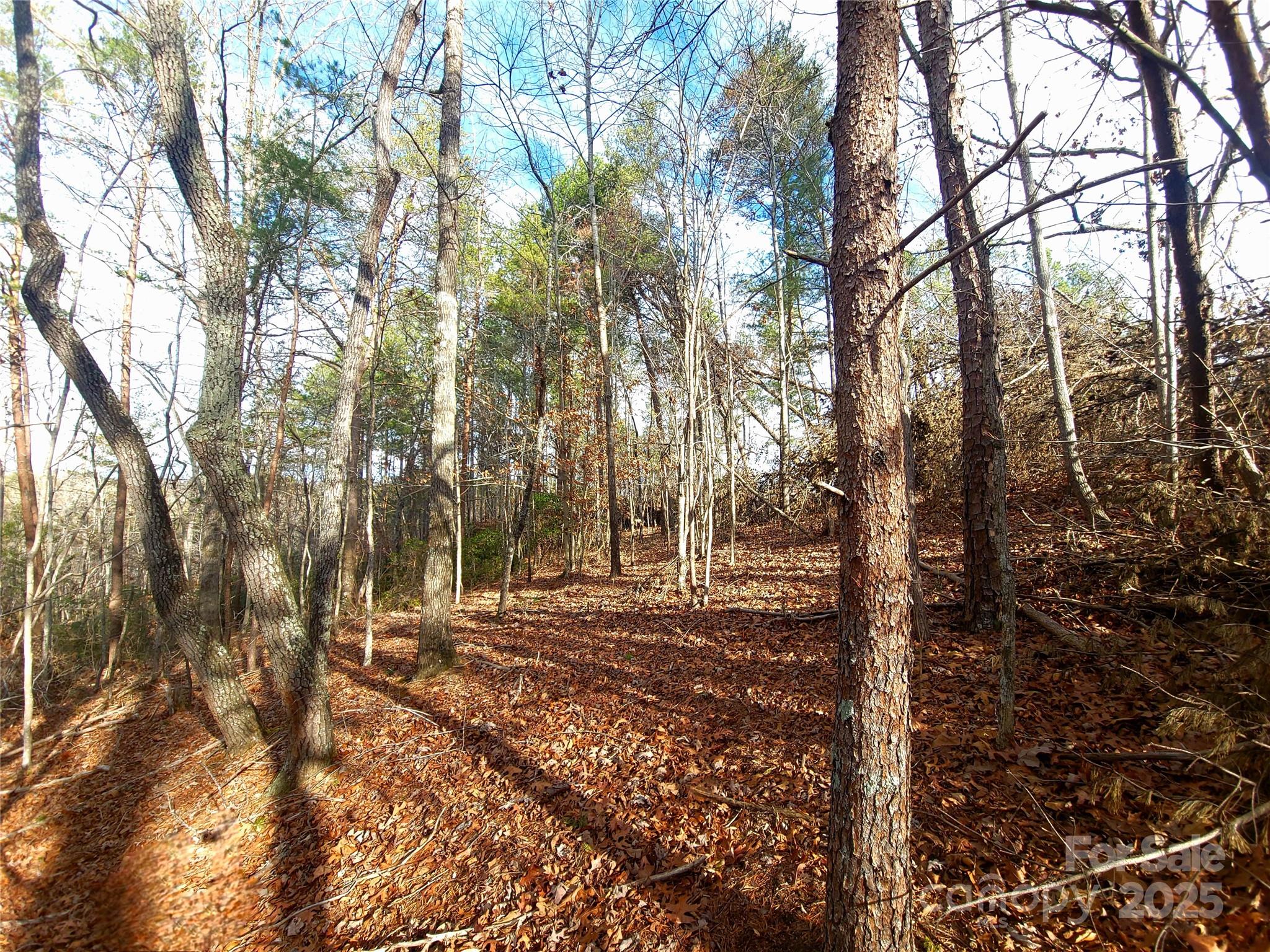 000 Skylark Lane Tryon NC 28782