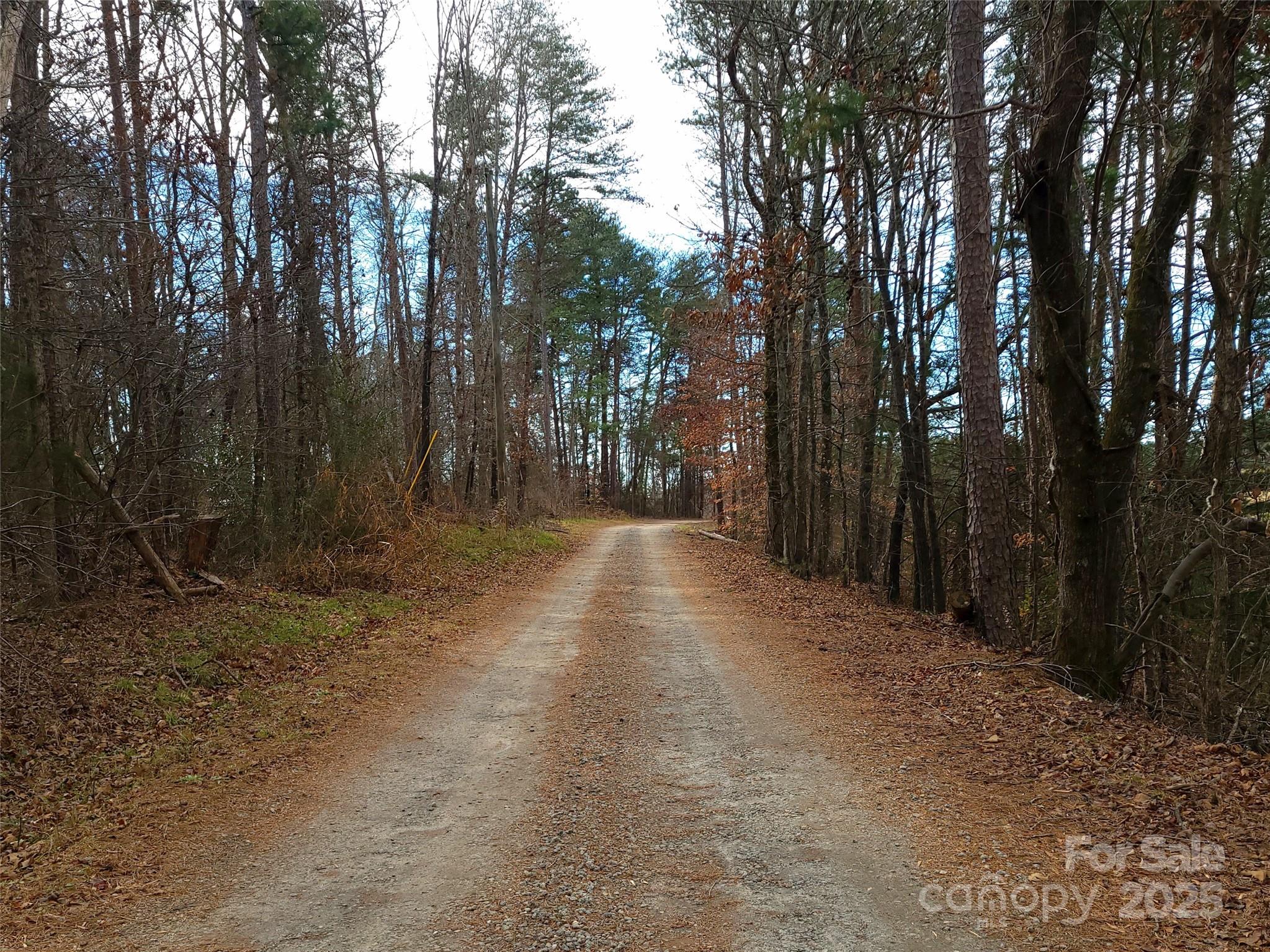 000 Skylark Lane Tryon NC 28782
