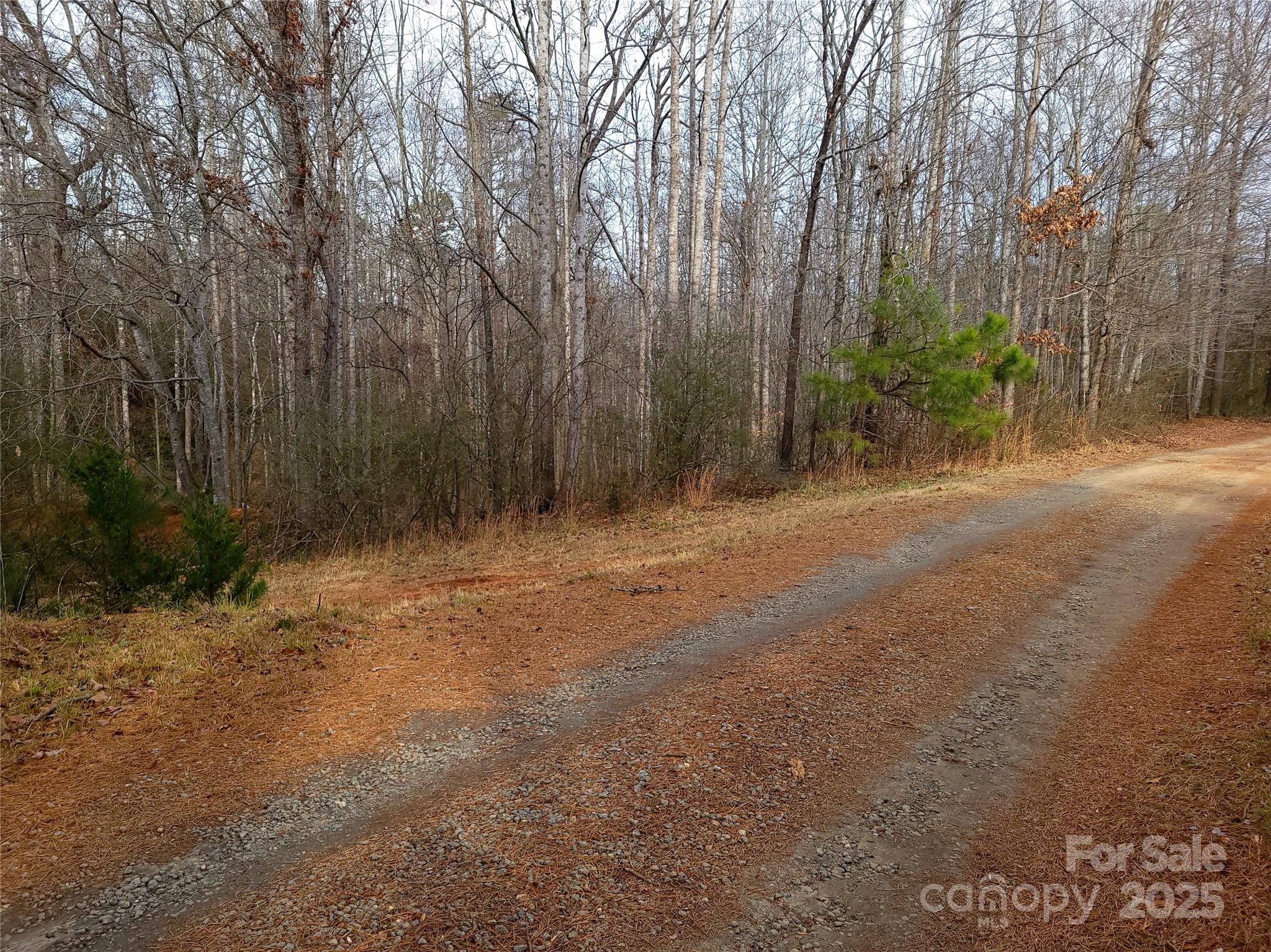 000 Skylark Lane Tryon NC 28782