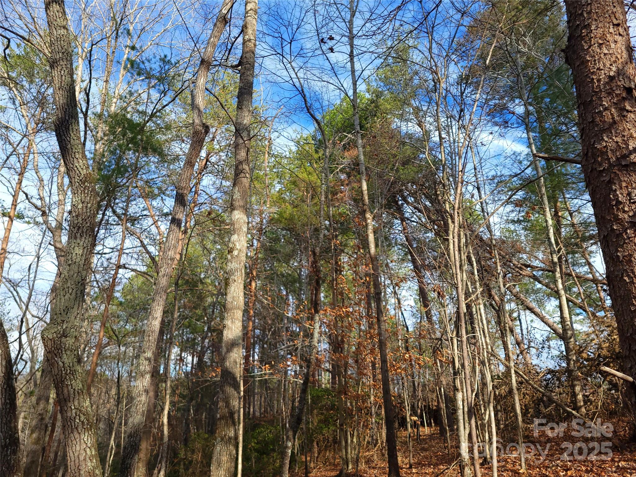000 Skylark Lane Tryon NC 28782