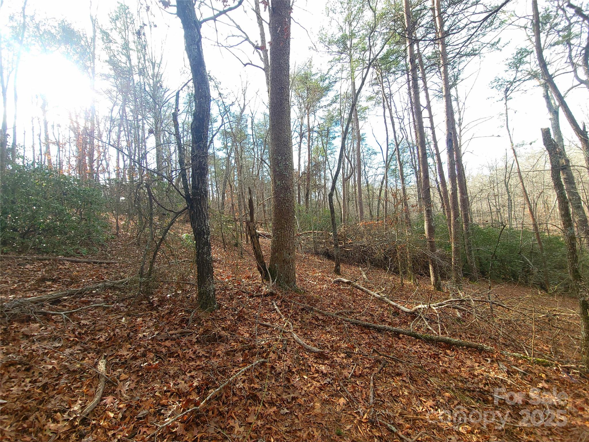000 Skylark Lane Tryon NC 28782