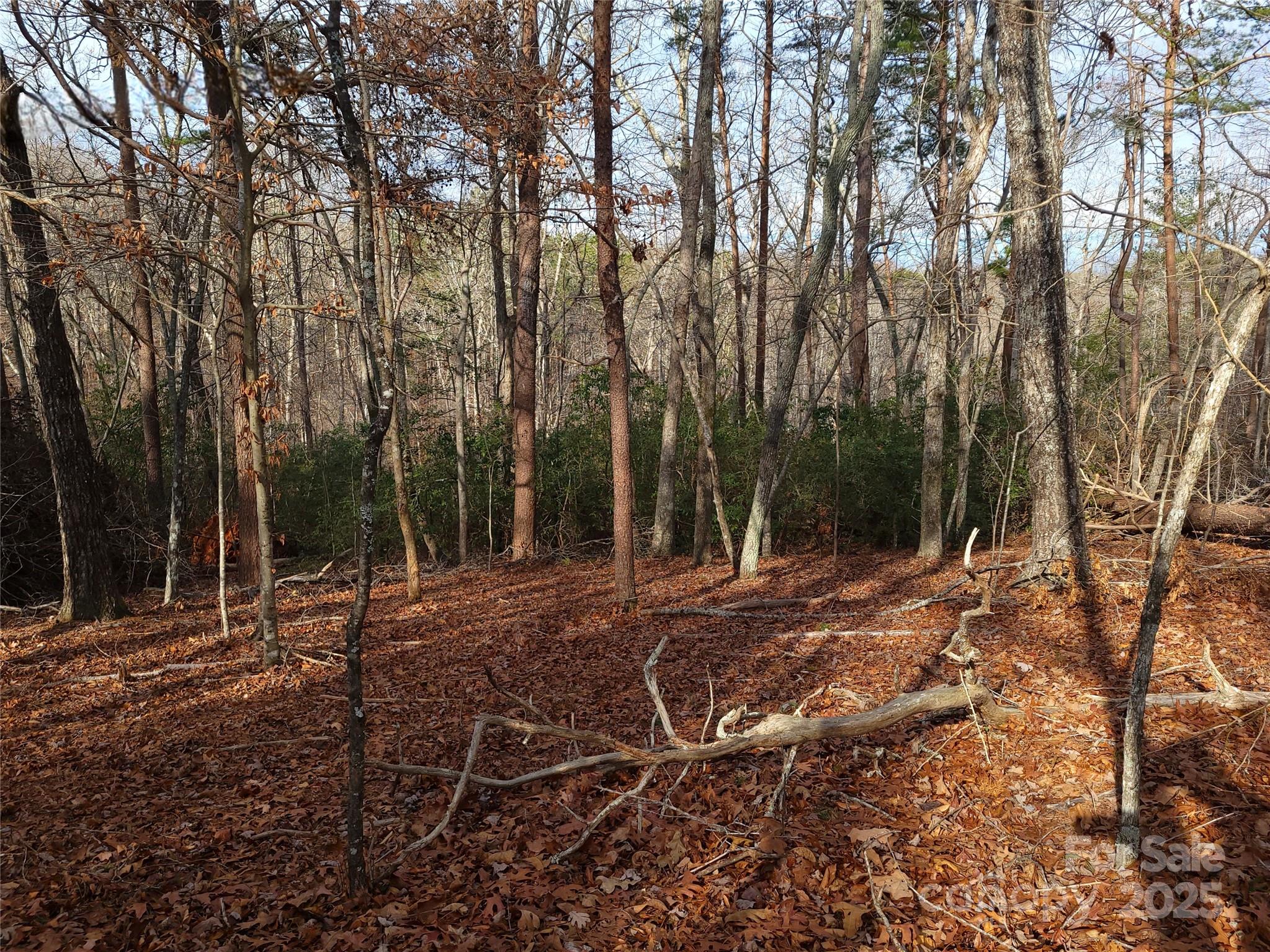 000 Skylark Lane Tryon NC 28782
