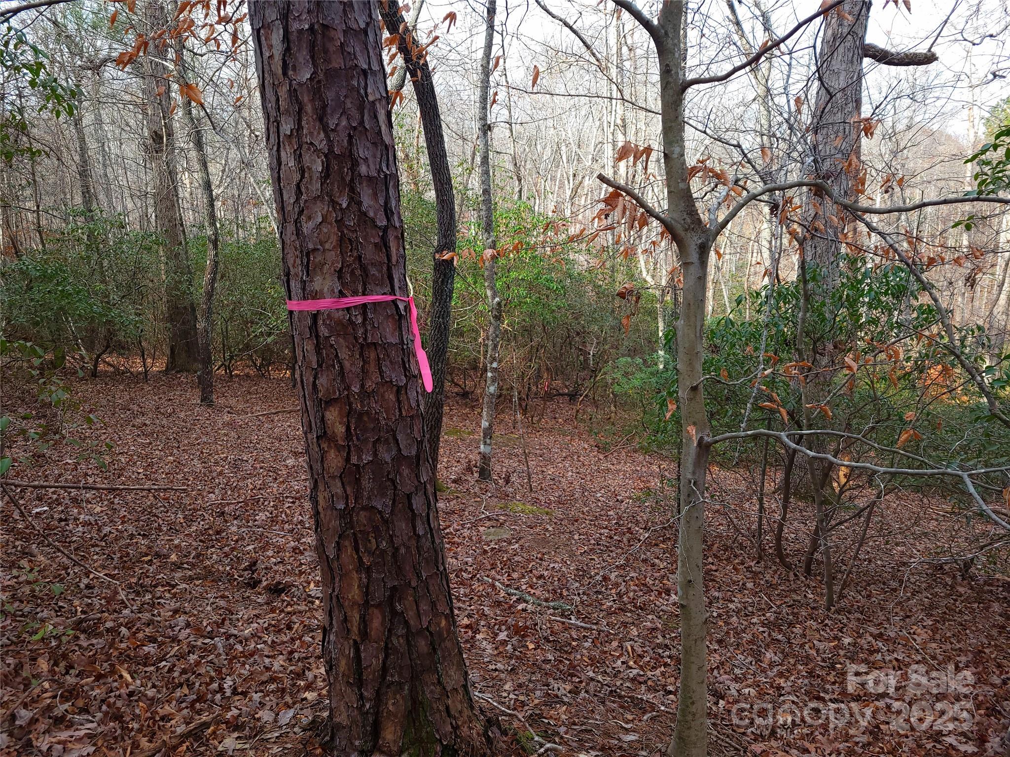 000 Skylark Lane Tryon NC 28782
