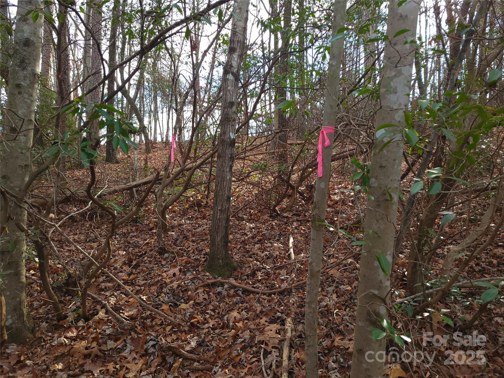 000 Skylark Lane Tryon NC 28782