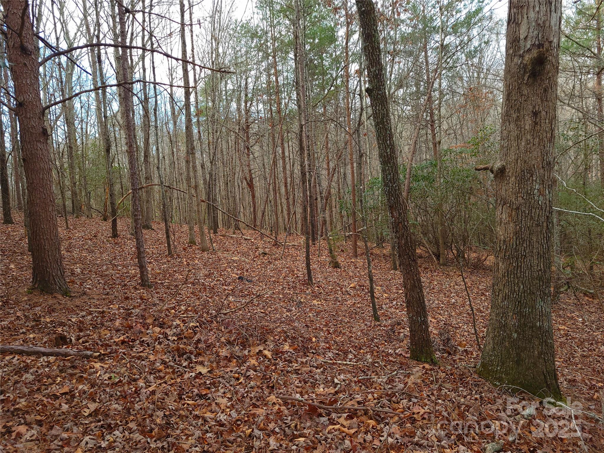000 Skylark Lane Tryon NC 28782