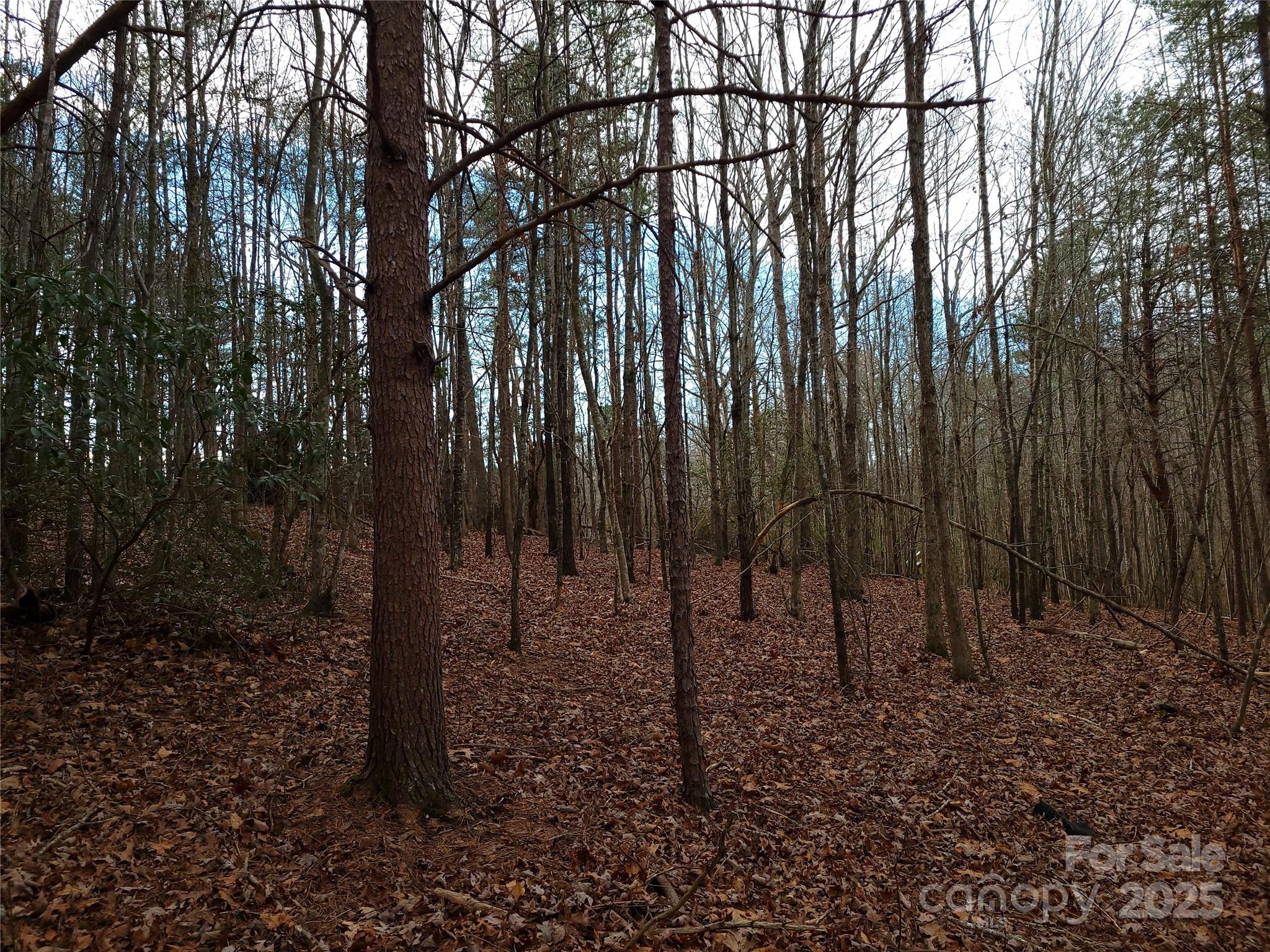 000 Skylark Lane Tryon NC 28782