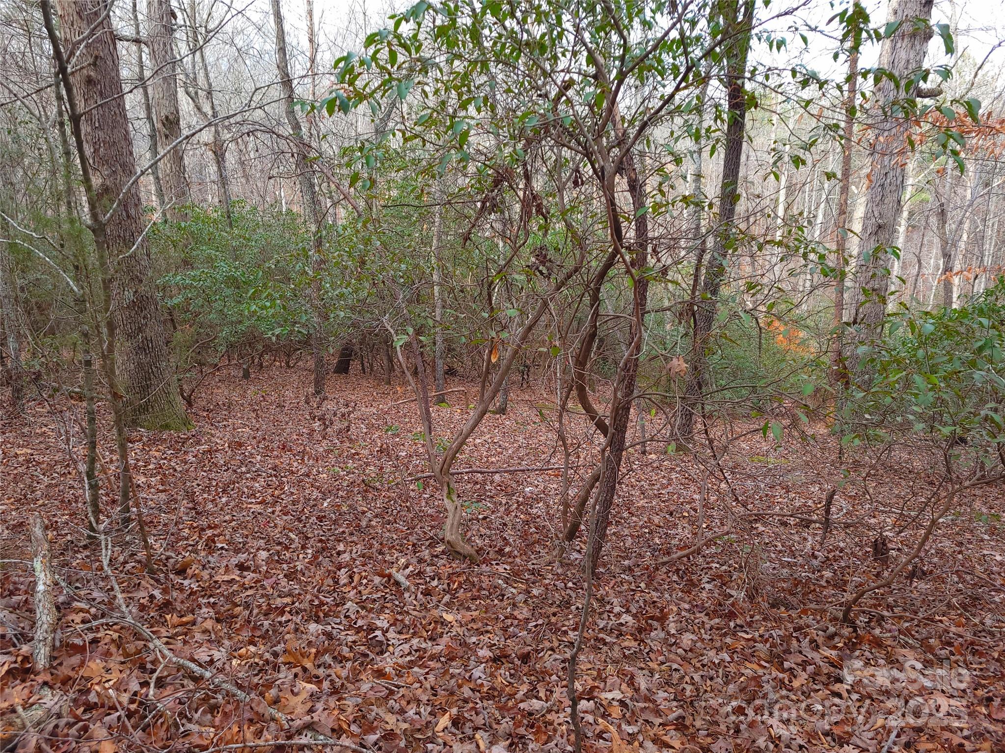 000 Skylark Lane Tryon NC 28782