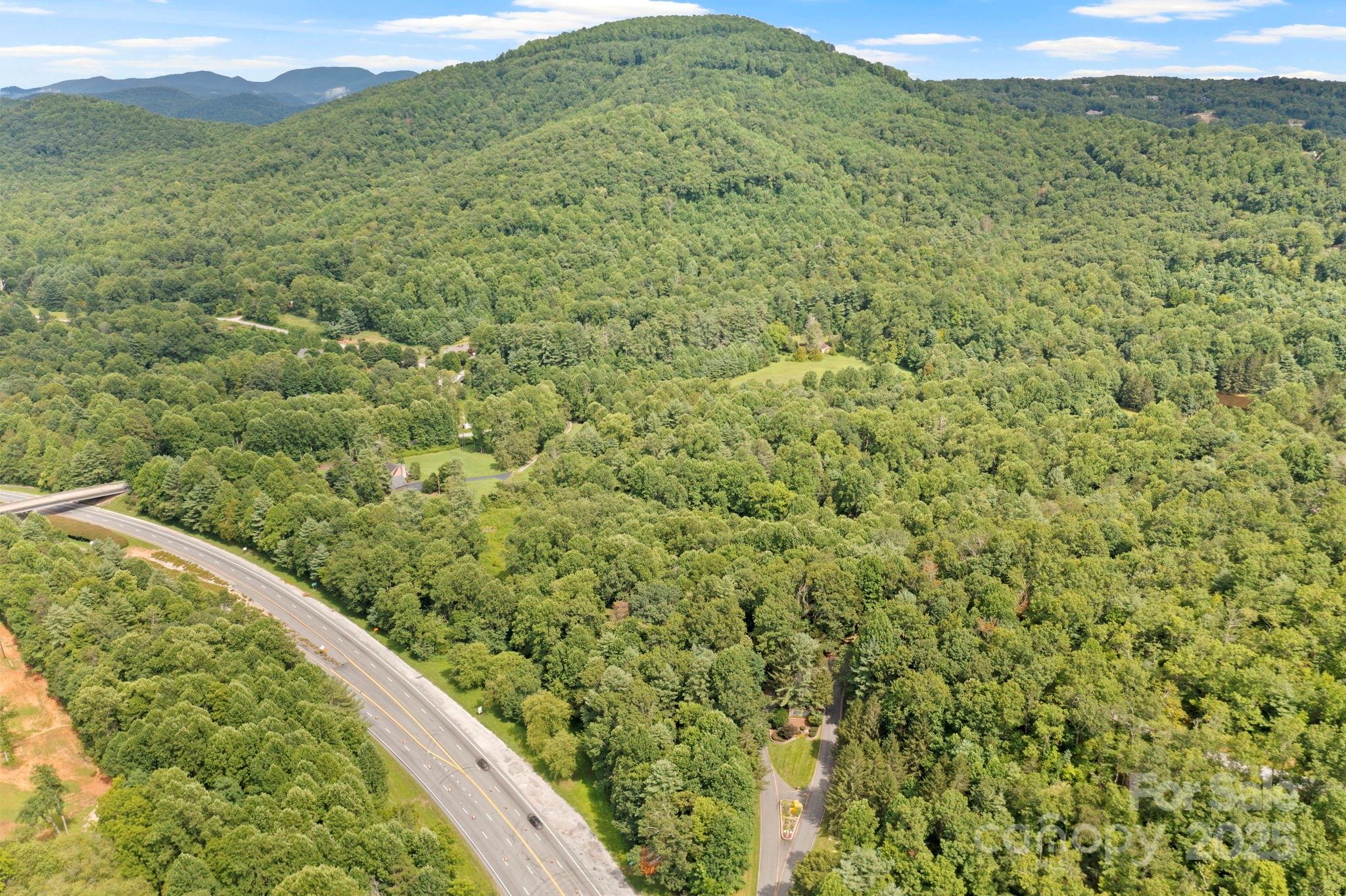 0 S Bobs Creek Road Zirconia NC 28790