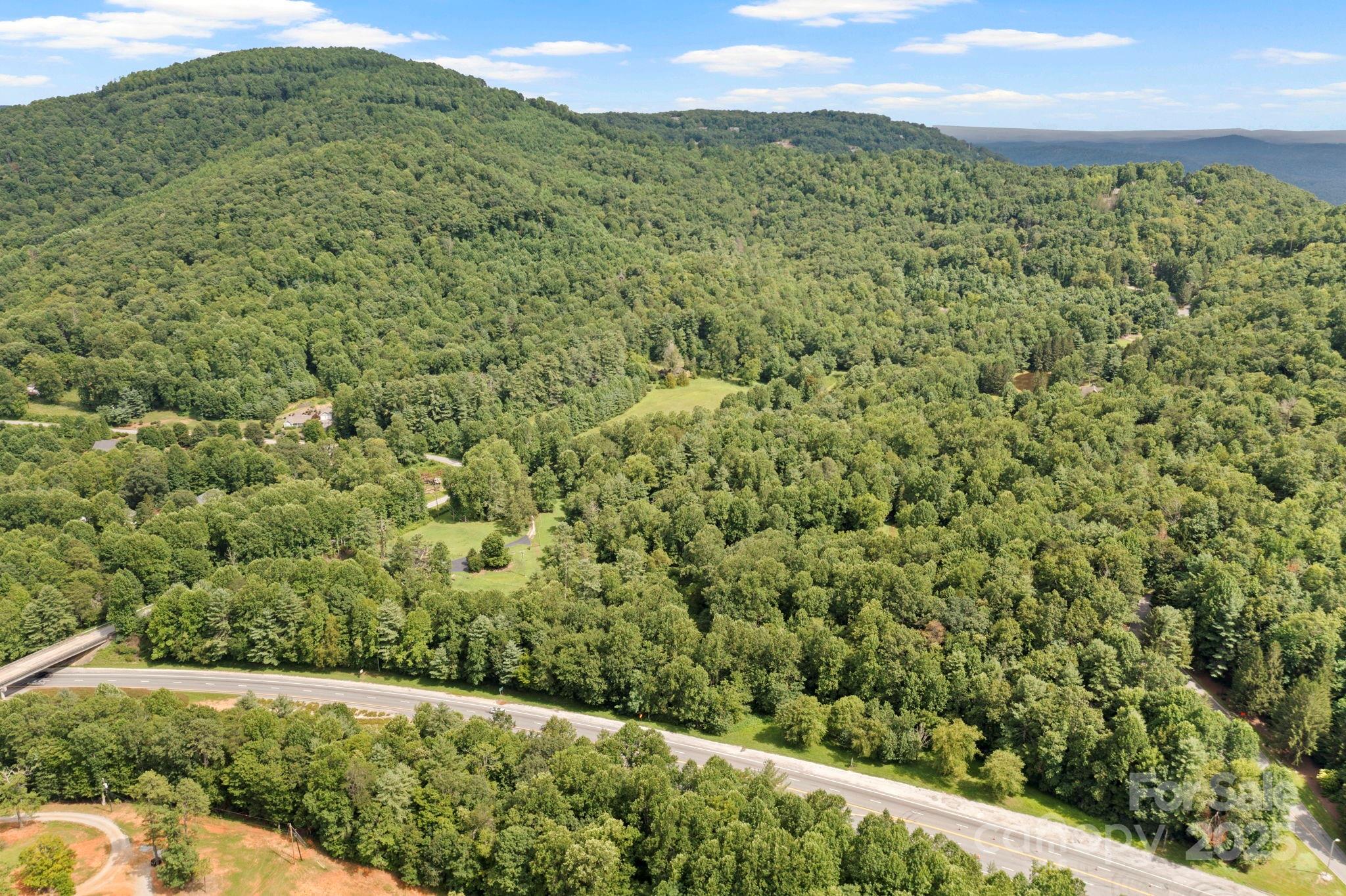 0 S Bobs Creek Road Zirconia NC 28790