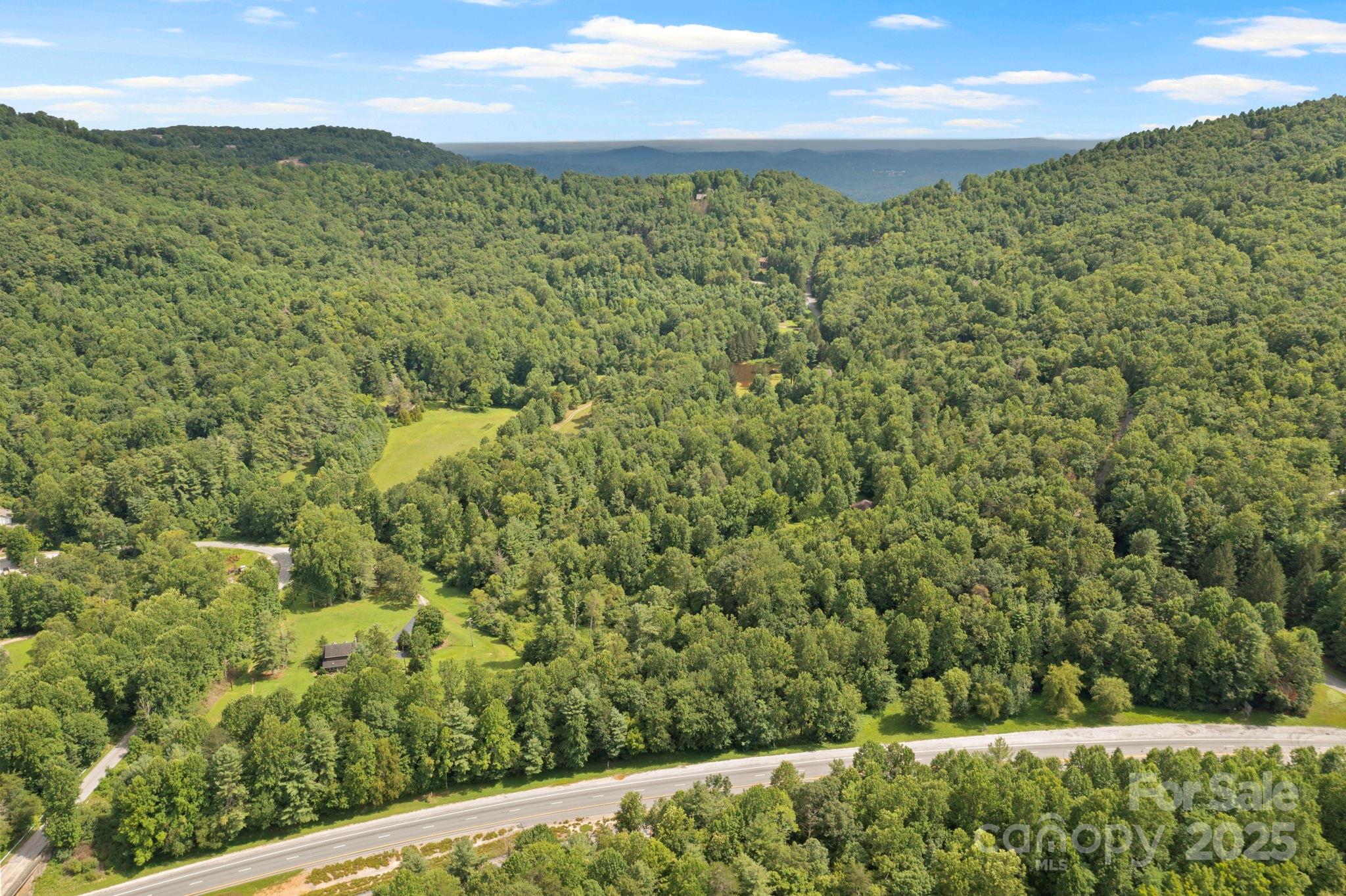 0 S Bobs Creek Road Zirconia NC 28790