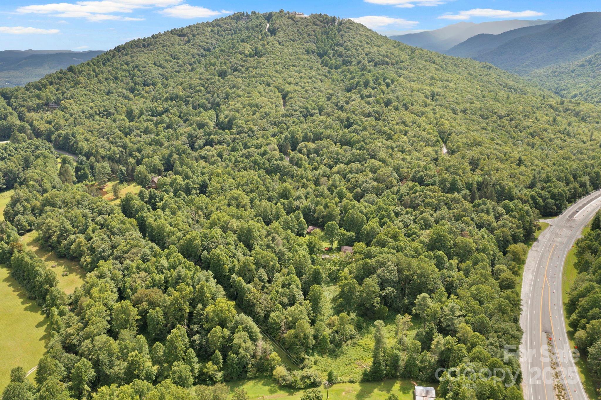 0 S Bobs Creek Road Zirconia NC 28790