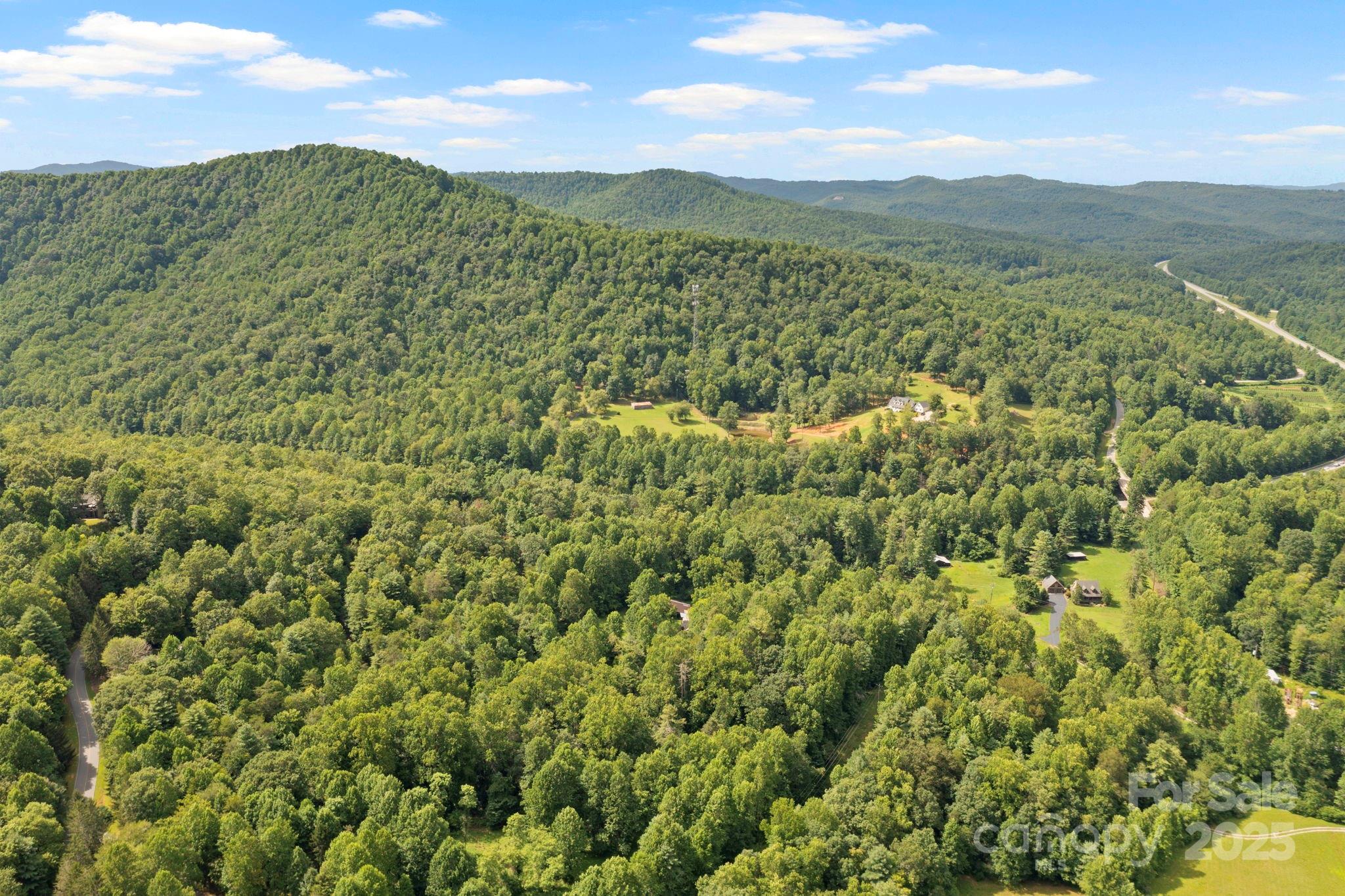 0 S Bobs Creek Road Zirconia NC 28790