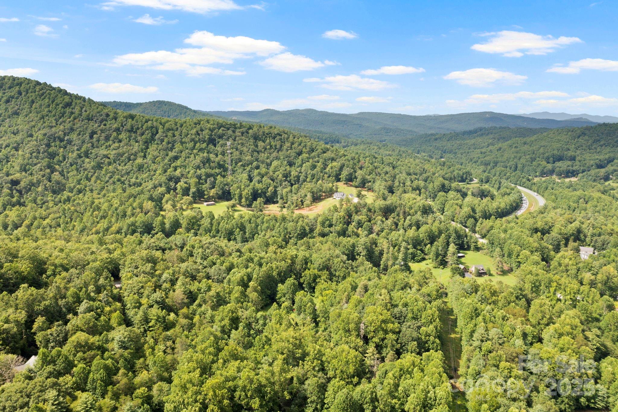 0 S Bobs Creek Road Zirconia NC 28790