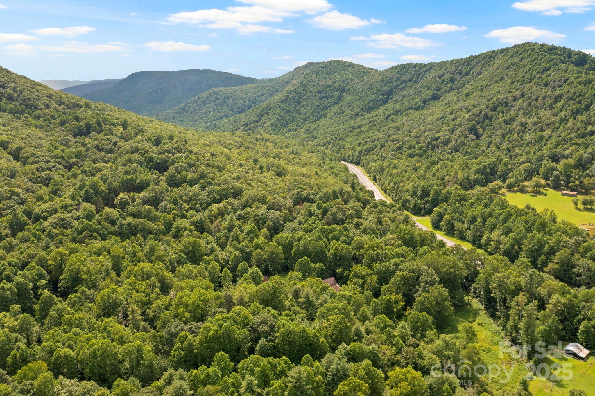 0 S Bobs Creek Road Zirconia NC 28790