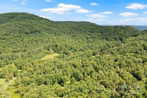 0 S Bobs Creek Road Zirconia NC 28790