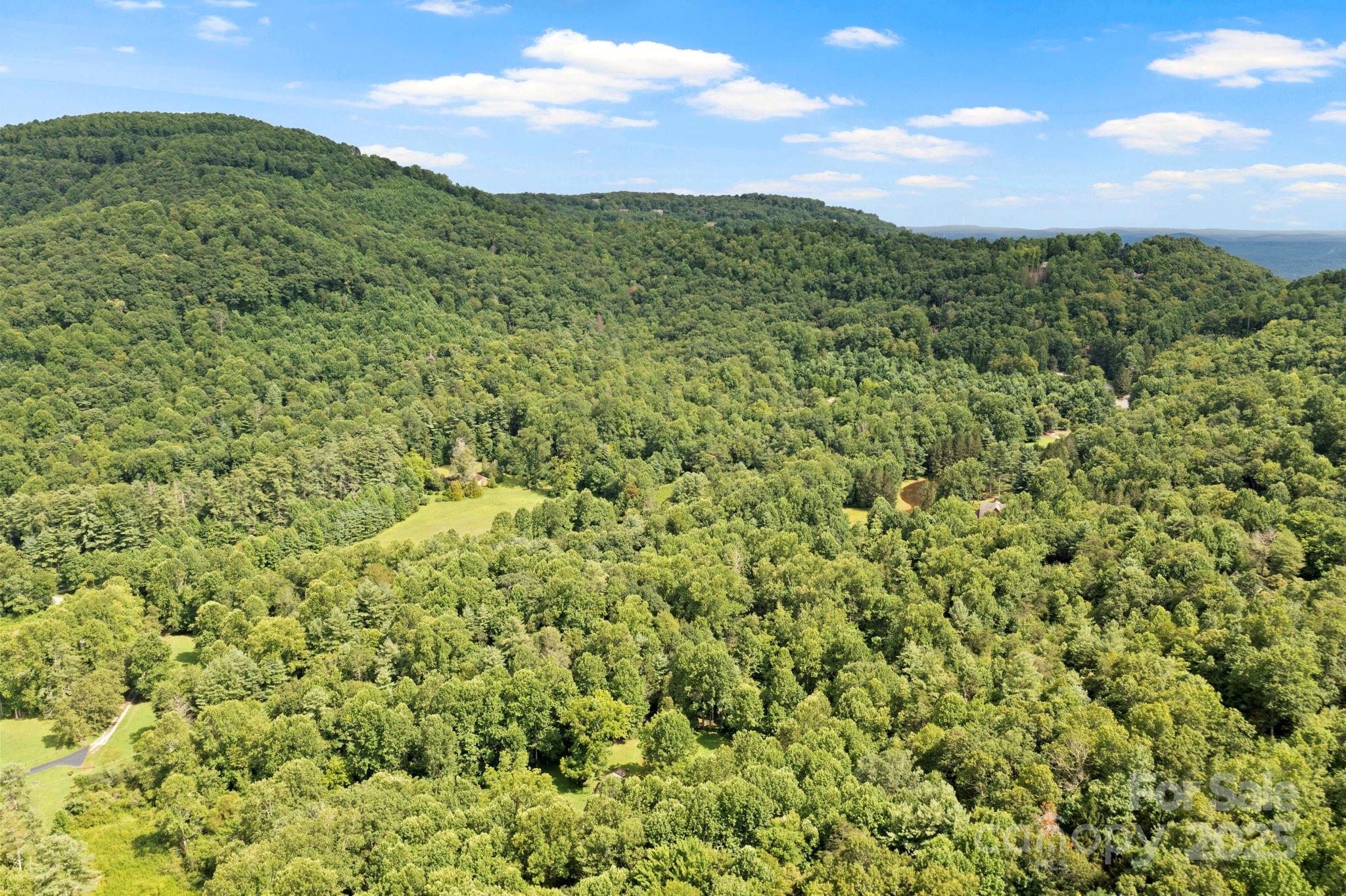 0 S Bobs Creek Road Zirconia NC 28790