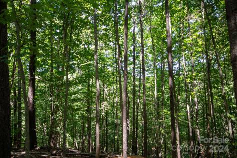 Lot# 24 Brittany Drive Lenoir NC 28645