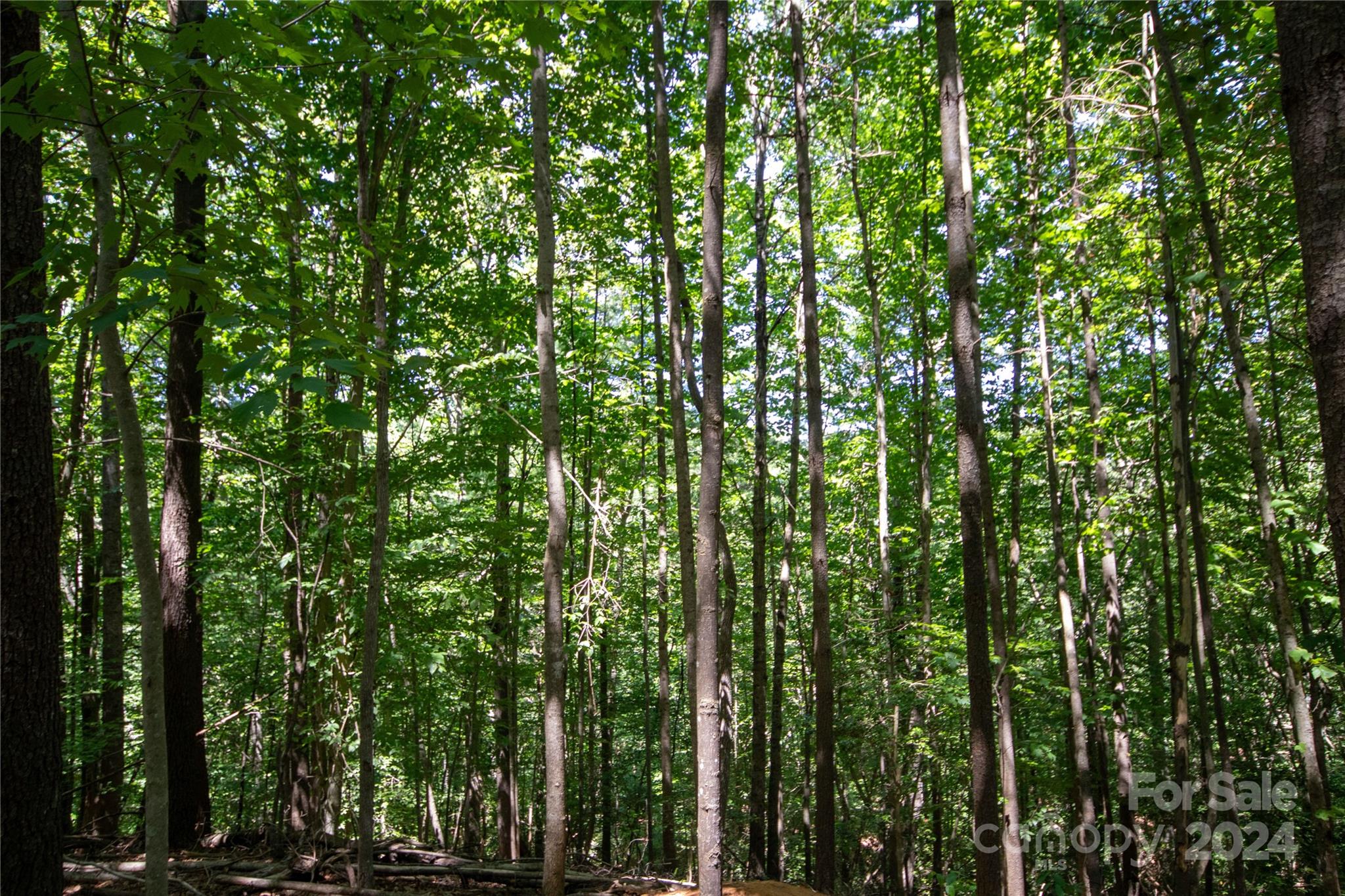 Lot# 24 Brittany Drive Lenoir NC 28645