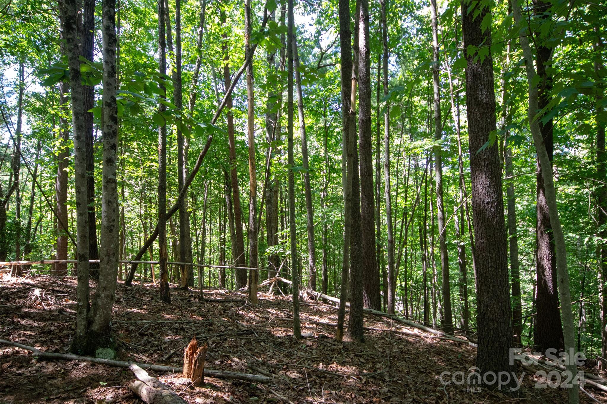 Lot# 24 Brittany Drive Lenoir NC 28645