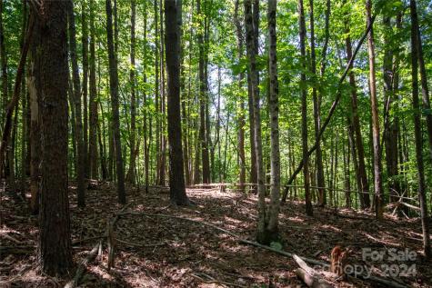 Lot# 24 Brittany Drive Lenoir NC 28645