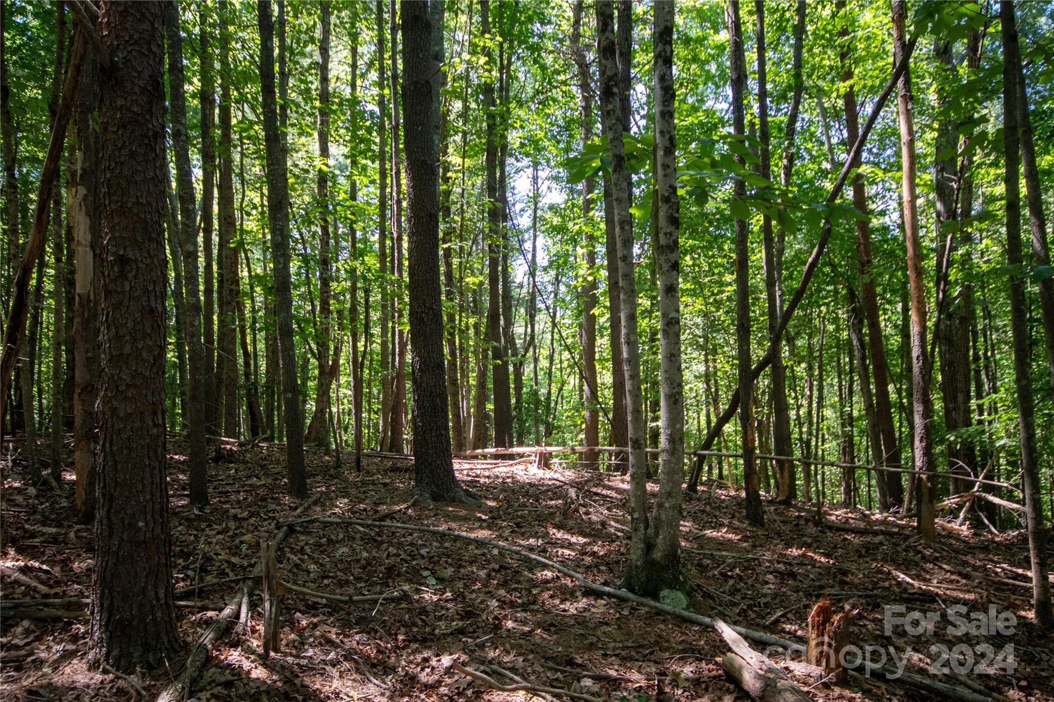 Lot# 24 Brittany Drive Lenoir NC 28645