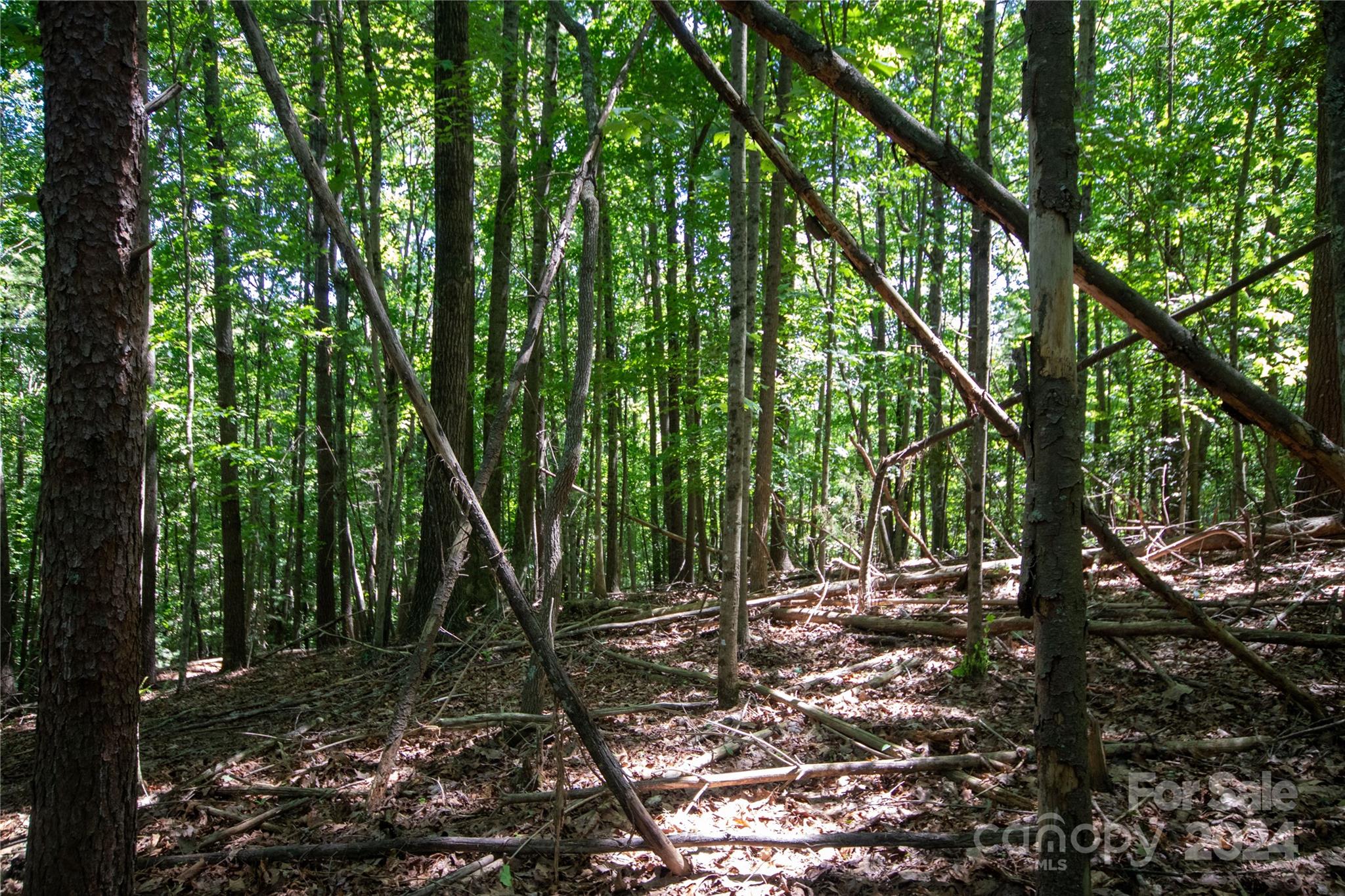 Lot# 24 Brittany Drive Lenoir NC 28645
