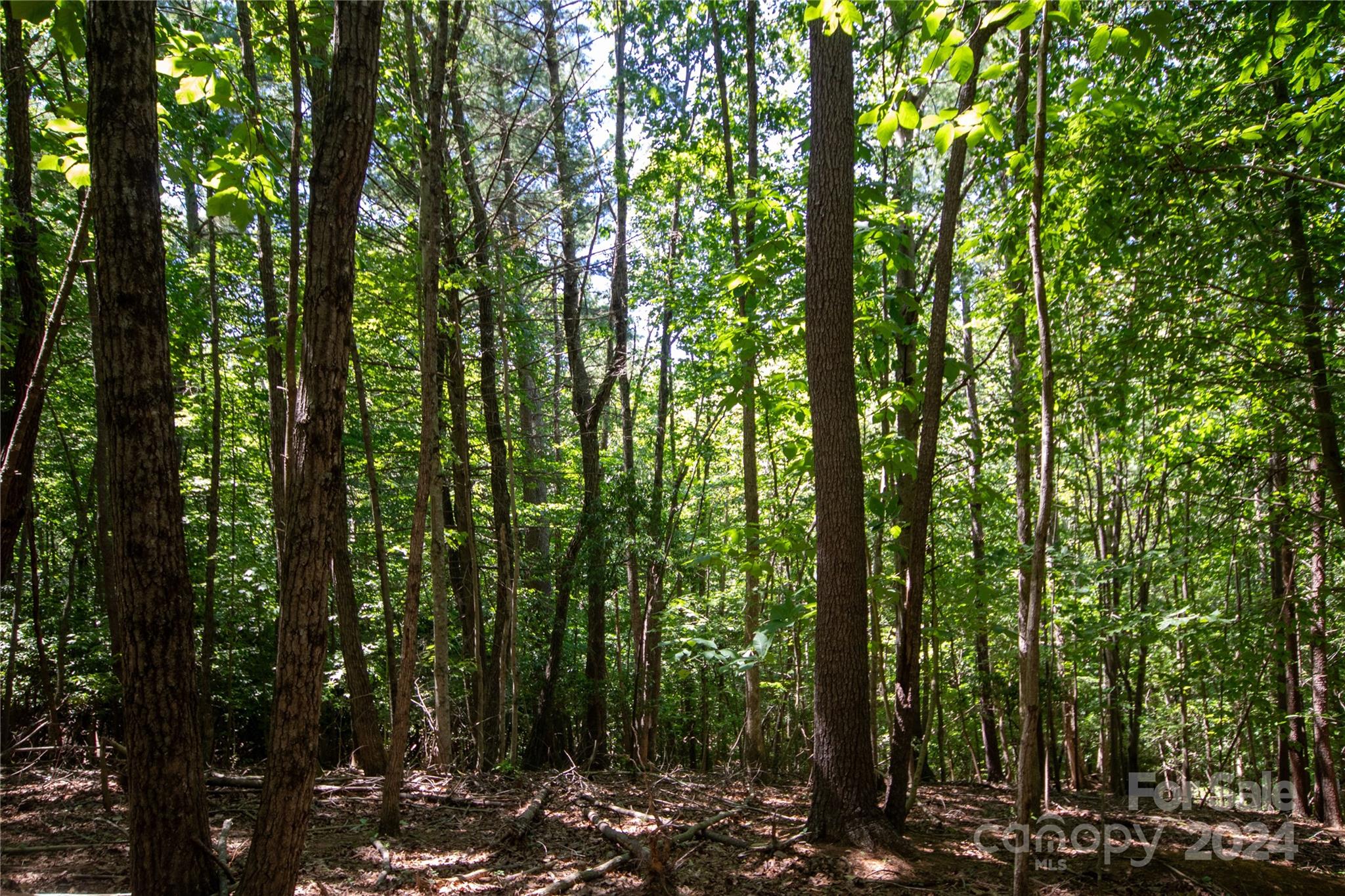 Lot# 24 Brittany Drive Lenoir NC 28645