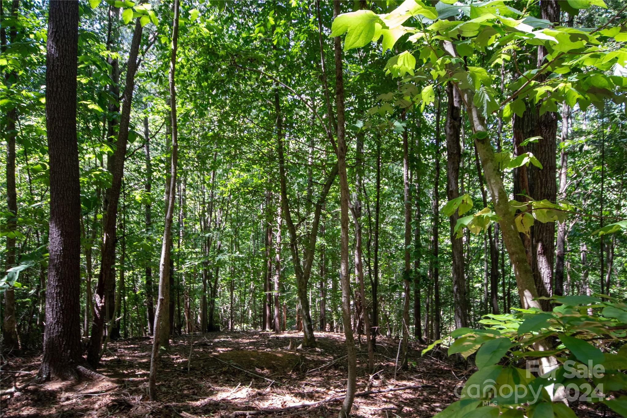 Lot# 24 Brittany Drive Lenoir NC 28645