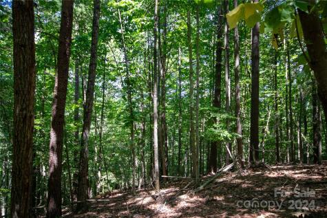 Lot# 24 Brittany Drive Lenoir NC 28645