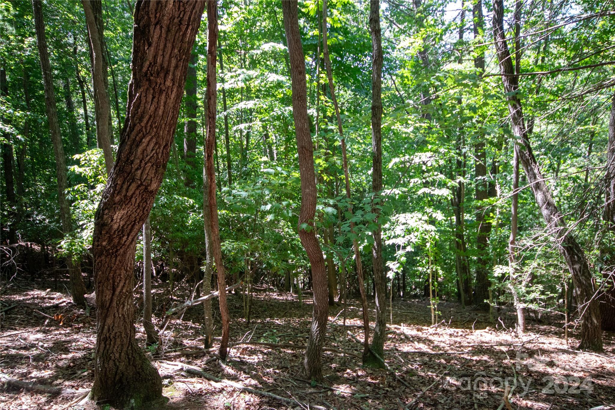 Lot# 24 Brittany Drive Lenoir NC 28645