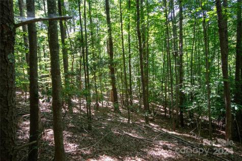 Lot# 24 Brittany Drive Lenoir NC 28645