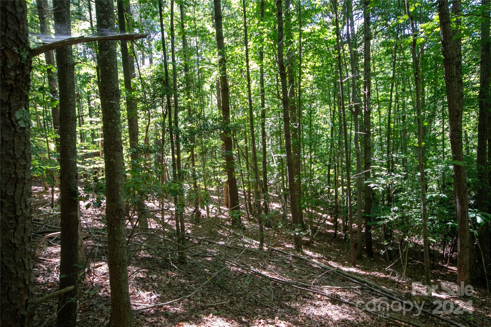Lot# 24 Brittany Drive Lenoir NC 28645