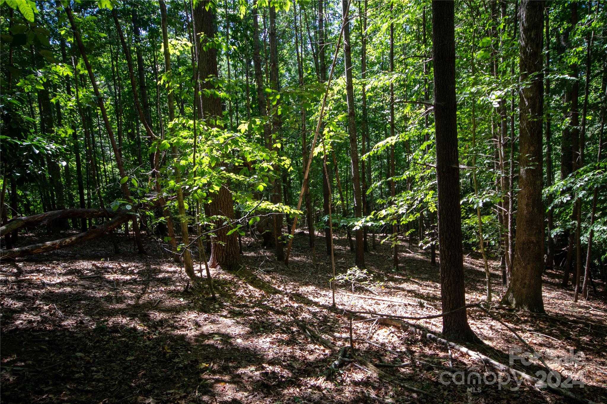 Lot# 24 Brittany Drive Lenoir NC 28645